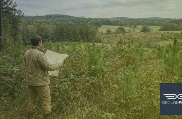 A land manager surveying dense native vegetation at the edge of a Georgia woodland property.