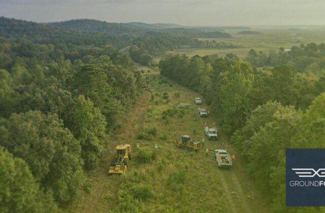 Commercial vegetation management crew maintaining a utility corridor across Georgia's diverse ecological landscape.